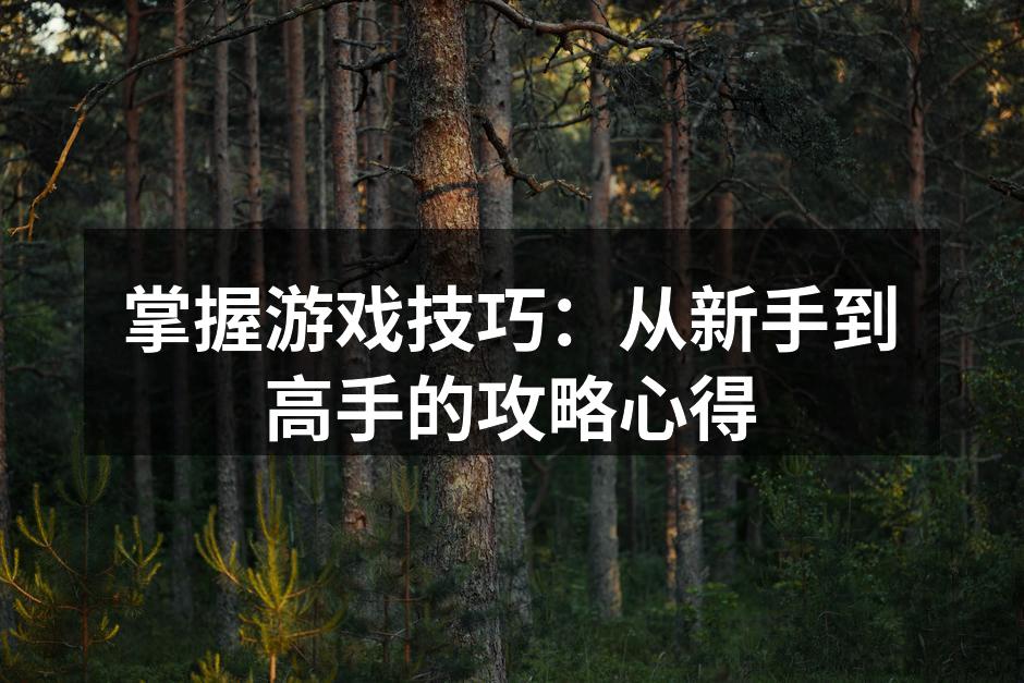 掌握游戏技巧：从新手到高手的攻略心得